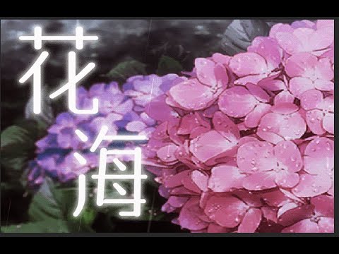 【小柔】花海-Jay Chou（日本語cover）