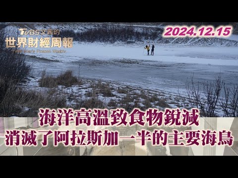 海洋高溫致食物銳減 消滅了阿拉斯加一半的主要海鳥 TVBS文茜的世界財經周報 20241215