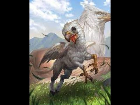 Some Facts about the Hippogriff you may not know about Myth:Folklore