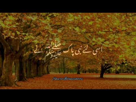 'Sabr' Kar Na 🥀 | Islamic WhatsApp Status |