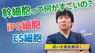 【再生医療】幹細胞って何がすごいの？iPS細胞･ES細胞も医師が徹底解説！