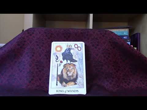 Crow Tarot Full Flip Through