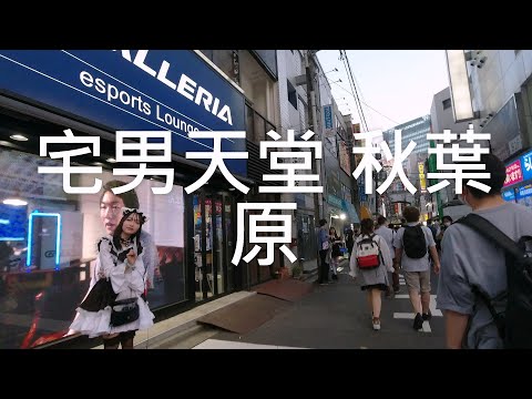 宅男天堂 秋葉原 |一堆賣公仔的店 | 街口兩旁都是女僕咖啡的服務生發傳單-2