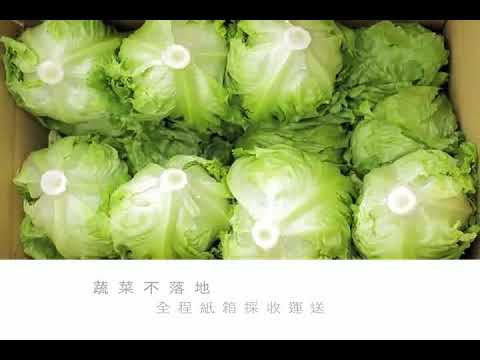 【農業微電影】一顆蔬菜的故事 完整版大公開 480p