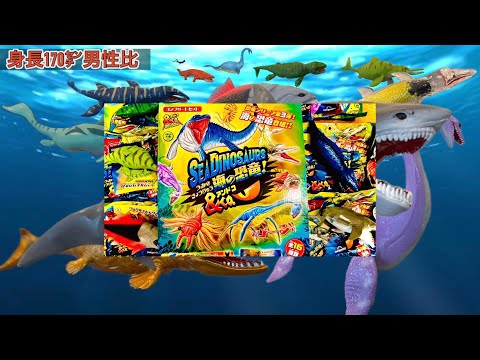 海の恐竜アンドコのリアルなサイズ検証！【SEA DINOSAURS & Co.→REAL SIZE