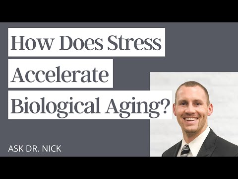 How Does Stress Accelerate Biological Aging?