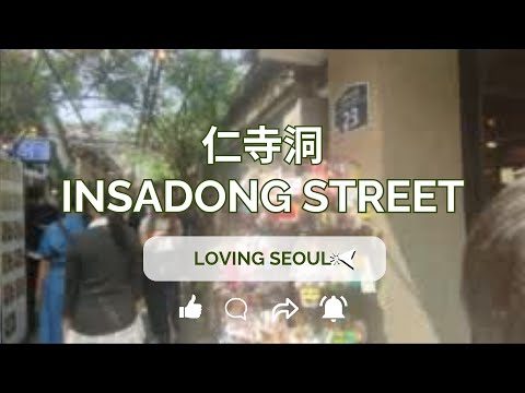 Insadong has so Much to Offer! (ft. Sujebi, Ssamzigil, Protest, Street March) (Seoul PT.4) 从仁寺洞到文青商场