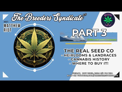 Angus from The Real Seed Company Pt3 #Landrace Heirloom #Sativas #Indica Afghanis #Cannabis #Podcast