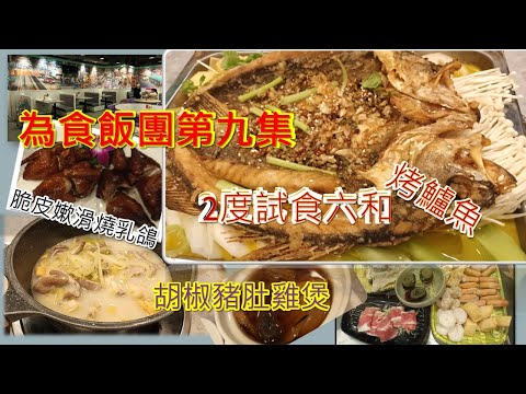 [為食飯團]第9集:觀塘區搵食/2度試食六和冰室/超正明爐烤魚/必食炸乳鴿/香濃胡椒豬肚雞煲/激濃蒜香粉絲中蝦煲/大份低食炒飯/蠔仔煎蛋/超多料燉湯/特式飲品檸底薏米水[.K.W VIDEO]