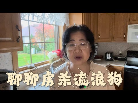 听听怕狗的人怎么说的 ｜午餐吃烂面，聊聊在美国植牙。