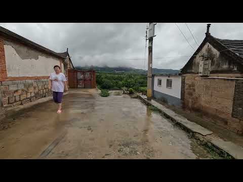 【山东•青岛】雨中漫步~景色迷人的村落，到处都是挂满果子的果树 Discover the Real China in 4K HDR