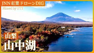 渚100選！富士の絶景　山中湖紅葉まつり【JNN 紅葉ドローンDIG 2024】｜TBS NEWS DIG