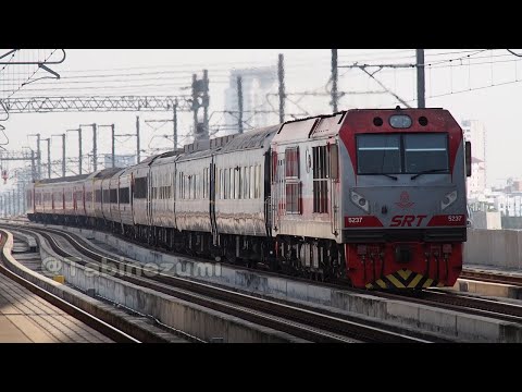 タイ国鉄:ロイヤルブロッサム号がランパーンからバンコクに戻ってきました Royal Blossom From Lamphang 2024-03-17