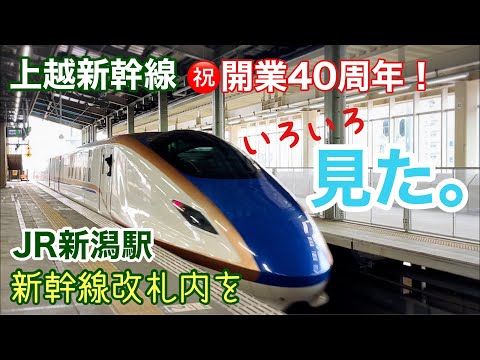 【開業40周年！】上越新幹線と新潟駅のいまを歩いて色々発見！