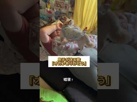 【名曲】寝る子は育つ