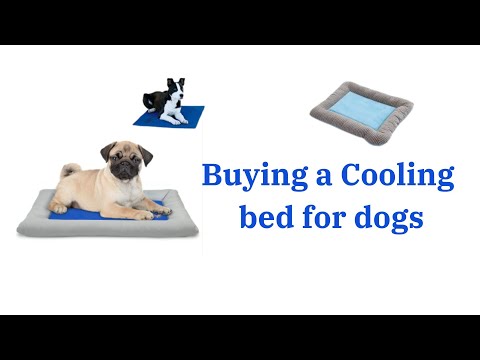 All about Cooling bed for dogs