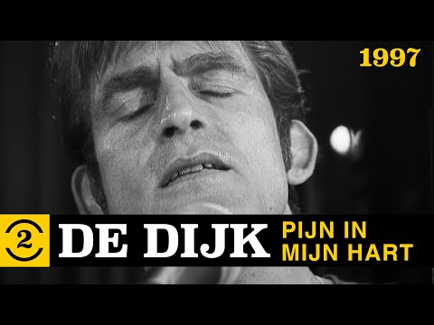 De Dijk - Pijn in Mijn Hart (naar Otis Redding) | live bij 2 Meter Sessies, 1997