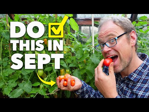 Garden Checklist: 12 Tasks You Need to do in September