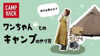 【犬連れキャンプ】一泊二日キャンプで何があると便利？キャンプギア＆ドッググッズ紹介