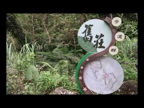 202005 Eb 大坑茶山微旅行