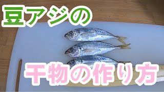 最高のおつまみ【豆アジの干物の作り方】