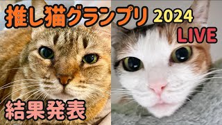 推し猫グランプリ２０２４結果発表