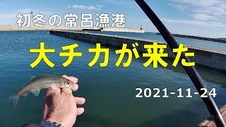 No.35【チカ釣り】常呂漁港☆大チカ☆サクサクの天ぷらを揚げる。2021-11-24