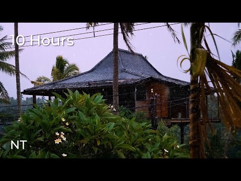 Try Listening for 3 minutes & You Will Sleep Soundly to Tropical Rain Sounds on a Tin Roof in Bali