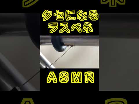 【FIXEDGEAR】spray ASMR #shorts