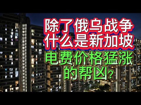 除了俄乌战争，新加坡还曾面对什么能源危机? 新加坡政府如何极力减少能源价格的上涨?