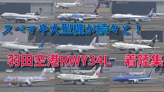 【スぺマや大型機も！】羽田空港 A滑走路（RWY34L）着陸機23連発！2022/11/20　羽田空港第3ターミナルより