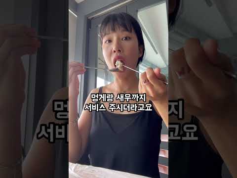 조곤조곤 1분 여행썰 #shorts