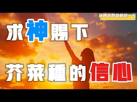 【以祷告开启新的一天】信心不足？让我们一起祷告，寻回信靠神的力量 #禱告 #平安 #喜乐 #等候神