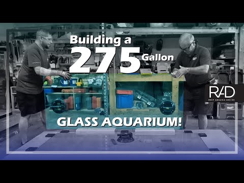 BUILDING A 275 GALLON GLASS AQUARIUM AT THE REEF AQUARIA DESIGN HEADQUARTERS IN FORT LAUDERDALE, FL.