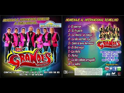 Los Grandes de Oaxaca....Disco completo de chilenas 2021- Homenaje al internacional Remolino