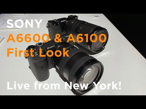 Sony A6600 & A6100 FIRST LOOK