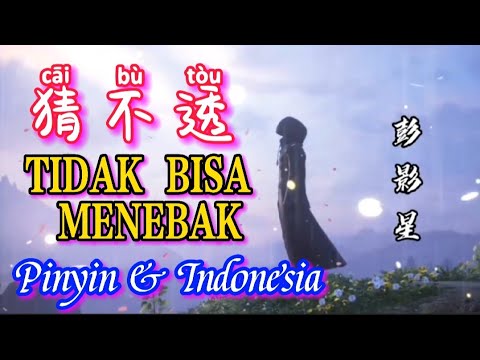 CAI BU TOU 猜不透 TIDAK BISA MENEBAK LIRIK TERJEMAHAN INDONESIA