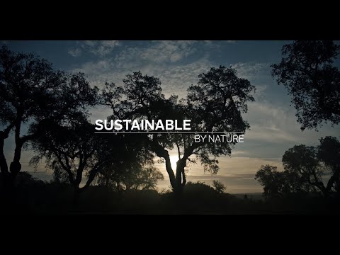 Amorim - Sustainable by Nature