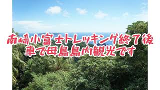 母島絶景巡り🌈南崎・小富士トレッキンと島内観光