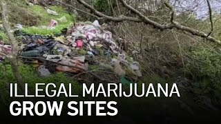 Marijuana Eradication Team Cleans Up Environmental Damage at Illegal Grow Sites