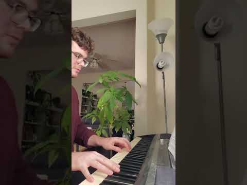 Green Valley Promenade (Original Piano Solo)