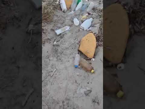 È tempo di adottare soluzioni permanenti. Leggi cosa facciamo 👉🏻plasticfreeonlus.it