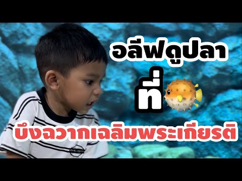 EP:1 พาอลีฟไปดูปลา..🐡🐠🐟 ที่ บึงฉวากเฉลิมพระเกียรติ!! วันที่ 7/5/66