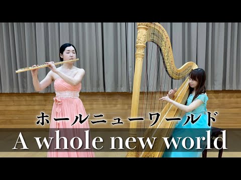 【フルートソロ&ハープ】A whole new world ホールニューワールド flute harp cover カバー アラジン / Aladdin 町井亜衣 邊見美帆子