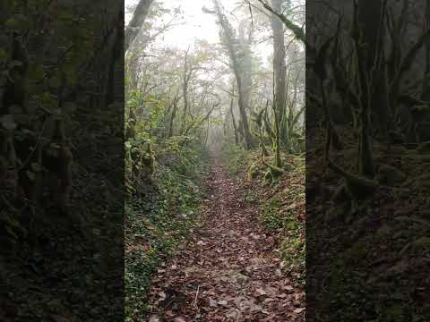 Y a t-il des Trail Runners dans nos abonnés ?