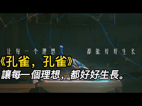 『電影頻道』《孔雀孔雀》（完整版）让每一个理想都好好生长！#電影 #電影解說 #電影剪輯 #獵奇影集#電影速看