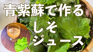 【青紫蘇で作るシソジュースの作り方】