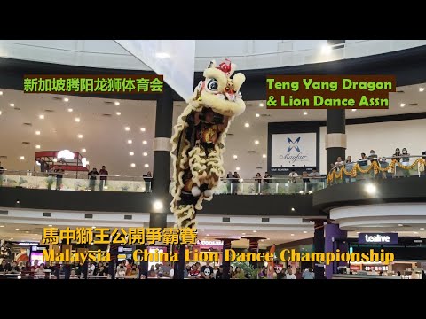 Singapore Teng Yang Dragon & Lion Dance Association @Malaysia-China Lion Dance Championship 2024