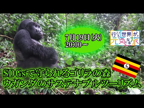 【オンラインLIVE説明会】SDGsで守られるゴリラの森、ウガンダのサステナブルツーリズム