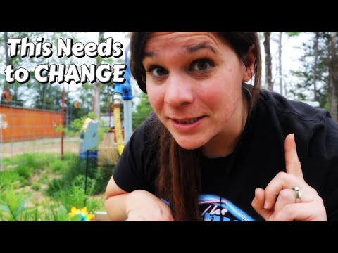 I Couldn''t BELIVE THIS!  | DIY | Shed To Cabin